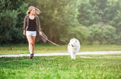 Woman walking dog in park