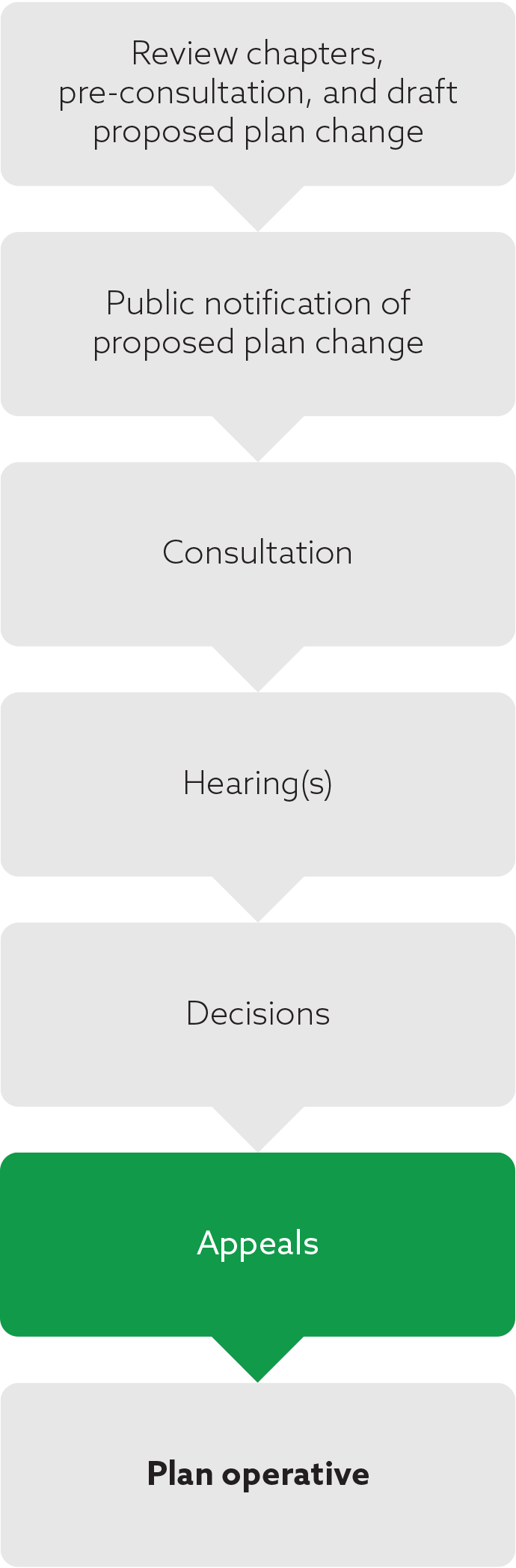 Plan-change-process_6_Appeals_690x2095.png