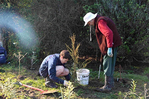 2 people planting a tree