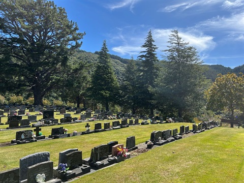 Rows of gravestones on a grassy hillside surrounded by mature trees