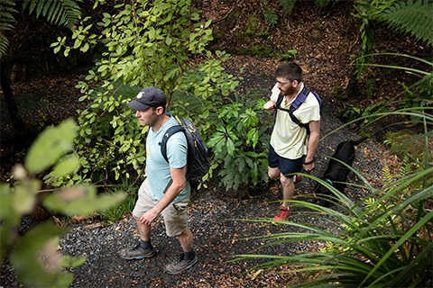 Walking in the bush